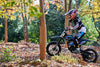 HP Electric Dirt Bike 2.0KW 60V