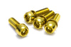 Brake Disc Bolt Set 4 pcs. Bike M6 x 18mm