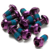 REVERSE Disc Rotor Bolt Set - 12 pcs. (Purple)