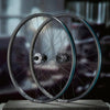 ethirteen Front Wheel Sylvan Sidekick Race AL All