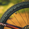 American Classic Mauka 29 x 2.4" Mountain Tyre