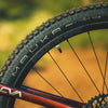 American Classic Mauka 29 x 2.4 MTB XC Tyre
