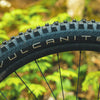 American Classic Vulcanite 29 x 2.5" Mountain Tyre