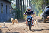 HP Electric Dirt Bike 2.0KW 60V